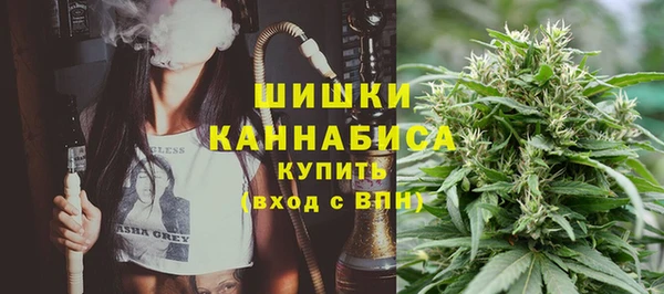 мдпв Верея