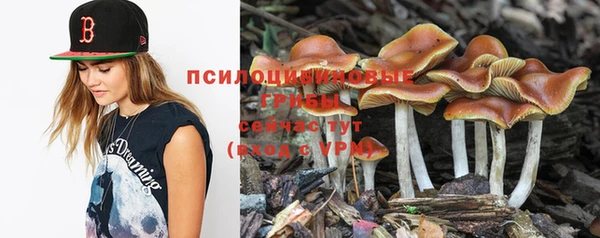 jwh Волосово