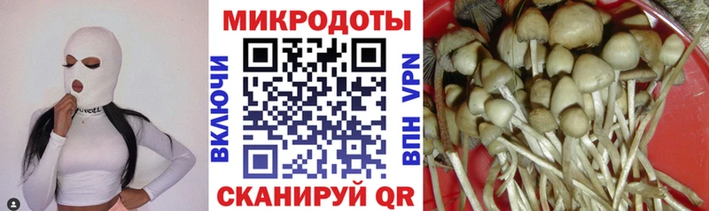 Галлюциногенные грибы ЛСД  Купить где  Оха 